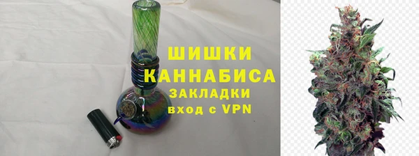 spice Богородск