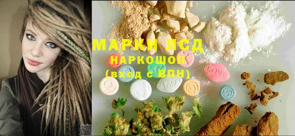 спиды Богородицк