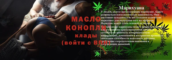 спиды Богородицк