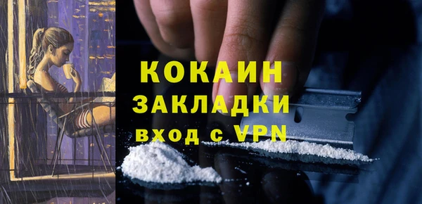 спиды Богородицк