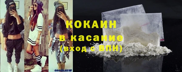 spice Богородск